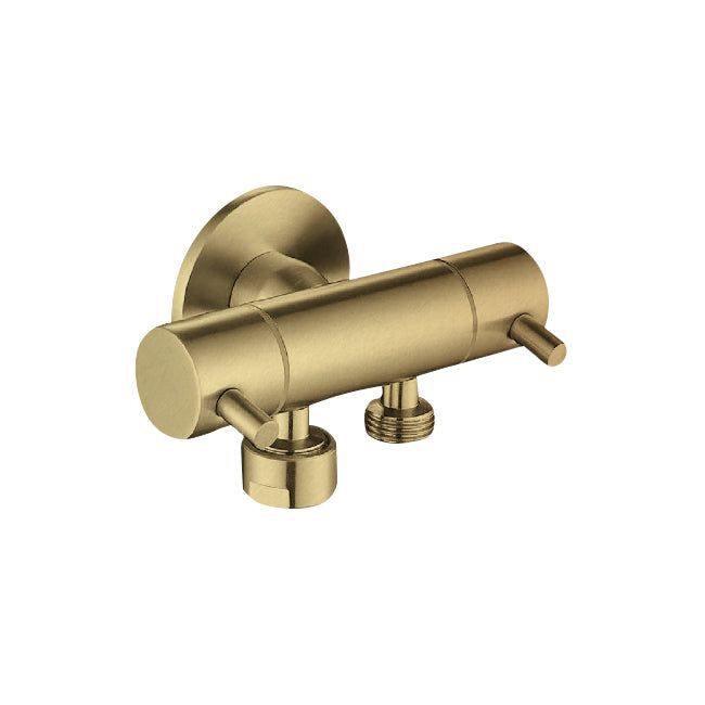 Dual Control Mini Cistern Tap Brushed Gold